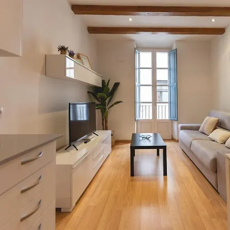 Apartamento Bravissimo Placa Dels Raims