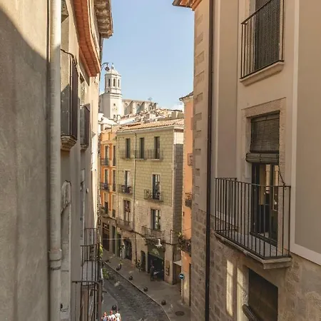 Bravissimo Placa Dels Raims *