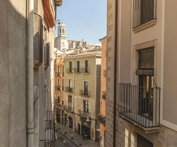 Bravissimo Placa Dels Raims *